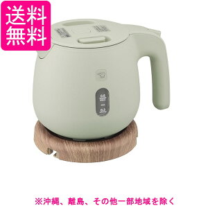 �ۈ� �d�C�P�g�� 0.6L �_�X�e�B�O���[�� CK-SA06-GZ