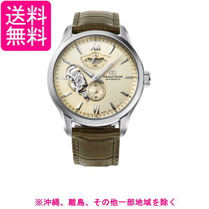 �I���G���g ���������r���v ���C���[�h�X�P���g�� �@�B�� �I�[�v���n�[�g RK-AV0B10G �����Y �V�����p���S�[���h