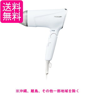 テスコム ヘアドライヤー プロテクトイオン 折りたたみ 速乾 小型 軽量 冷温風 Speedom ラク抜きプラグ ホワイト TD570A-W