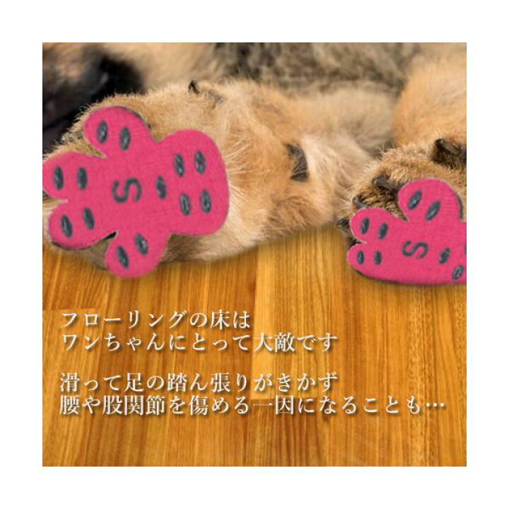 市場 ワンちゃん用 犬用ソックス スニーカープリント 室内猫 滑り止め 犬用シューズ 超小型犬 床 室内犬 フローリング用 靴下 ソックス