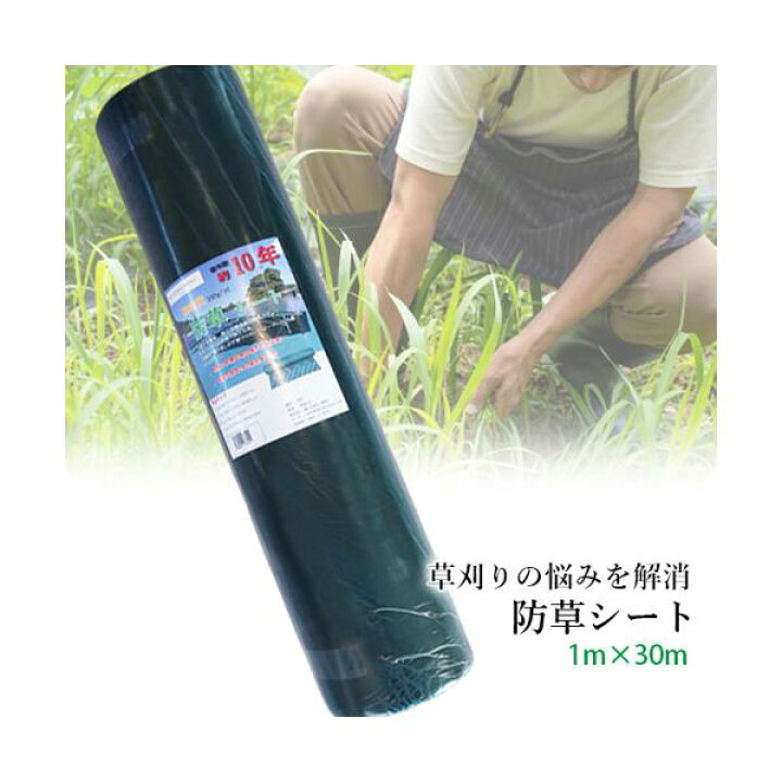 楽天市場】防草シート 高密度 300G 1m×30m 耐年数 約10年 頑丈 (管理S 