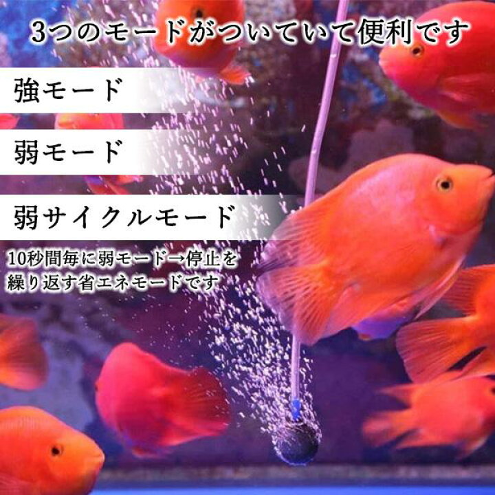 楽天市場 4日 00 11日01 59 スーパーセール ポイントmax25倍 エアーポンプ エアポンプ ソーラー充電式 水槽 電動 釣り 携帯 ライブウェル エアー ポンプ メダカ 金魚鉢 アクアリウム 管理c 送料無料 Pay Off Store 楽天市場 4日 00 11日01 59 スーパーセール ポイントmax25倍 エアーポンプ エアポンプ ソーラー充電式 水槽 電動 釣り 携帯 ライブウェル エアー ポンプ メダカ 金魚鉢 アクアリウム 管理c 送料無料 Pay Off Store