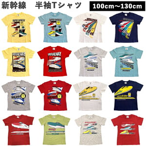 _2025V^ V  TVc q LbY d N700n E5n ͂Ԃ E6n ܂ A hN^[CG[ 0n 100n 500n 300n 700n W7n E7n ₫    F   100cm 110cm 120cm 130cm 