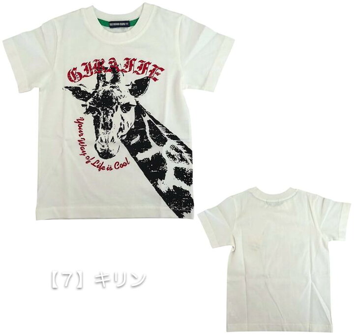 楽天市場】【メール便送料無料】昆虫 動物 Tシャツ 子供 キッズ 半袖 