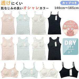 Vcłɂ Ȃ݃J[̃Jbvt Ci[ A_[SȂ yz d q ̎q  LbY WjA XN[ K[Y ^Ngbv L~\[ n