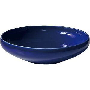 I^o{E21 Z ҌĐ ANZgJ[ HΉ v[g j pX^ J[ M 