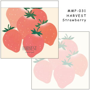 MATOKA }gJ XNGA pbh L   S s[` }XJbg  I[u  킢 lC IXX l킢 i قсb SQUARE MEMO PAD Doodle HARVEST MATOKA }gJ