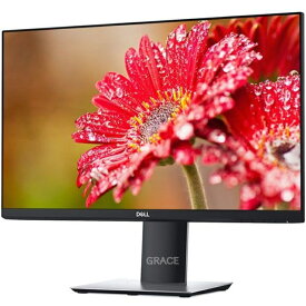 DELL 23インチモニター P2319H フルHD（1920×1080）プロフェッショナルシリーズ 回転 高さ調整 中古 モニター 送料無料 3か月保証期間付き