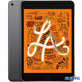 中古タブレット iPad mini5 7.9インチ 第5世代 Wi-Fiモデル スペースグレイ 64GB　【Bランク】　送料無料