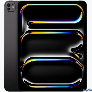 13C`iPad Pro (M4`bv) 2024N Ultra Retina XDRfBXvC 12MPJ Wi-Fi6E Bluetooth5.3 F Apple Pencil ProΉ 256GB Xy[XubN +USB-CA_v^+USB-CP[ut