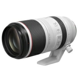 CANON(�L���m��) [��������]RF100-500mm F4.5-7.1 L IS USM RF100-500LIS