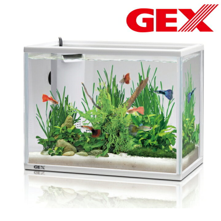 楽天市場 Gex ジェックス 水槽セット サイレントフィット 300 アクアリウム Pcボンバー 楽天市場店