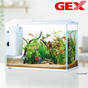 Gex 水槽セットの人気商品 通販 価格比較 価格 Com