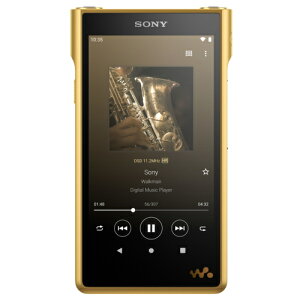 SONY(\j[) NW-WM1ZM2 [256GB]