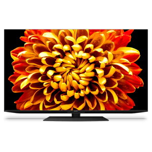 SHARP(�V���[�v) AQUOS XLED 4T-C55DP1 [55�C���`]