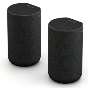 SONY(�\�j�[) SA-RS5(�y�A)