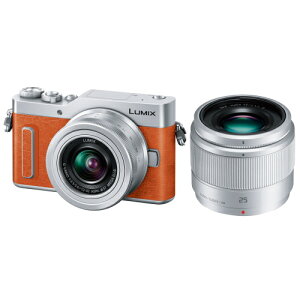 Panasonic(�p�i�\�j�b�N) LUMIX �_�u�������Y�L�b�g DC-GF10W-D �I�����W