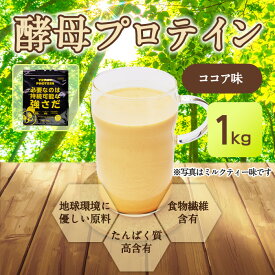 綿半パートナーズ 酵母プロテイン ココア風味 1kg