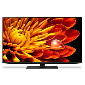 SHARP(�V���[�v) AQUOS XLED 4T-C55EP1 [55�C���`]