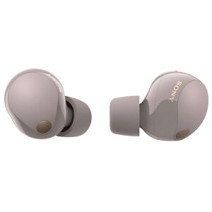 SONY(�\�j�[) WF-1000XM5 (P) �X���[�L�[�s���N