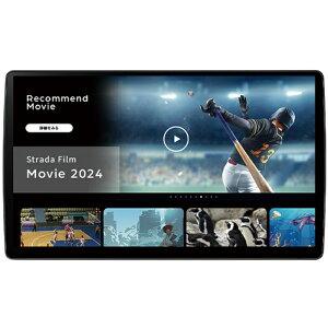 Panasonic(pi\jbN) Xg[_ F1X PREMIUM10 CN-F1X10C1D