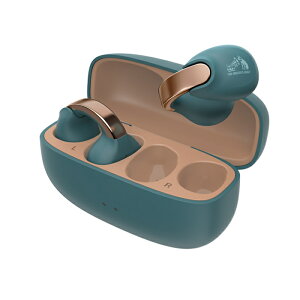 JVC Victor nearphones HA-NP1T-A eB[u[