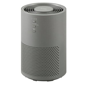 �A�C���X�I�[���} AAP-S20C-H �O���[