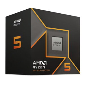 AMD Ryzen 5 9600 BOX