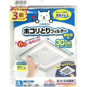 mA~GR[ pbƓ\邾zRƂtB^[Cp30CM3 3pbN