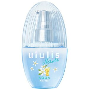 H2O(GC`c[I[) EX leB[ ANA CX`[ wAIC 100ml