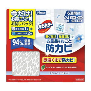 JrL[ CɒuhJrWF ₳t[̍ z_[{ւ2P 8mlX2