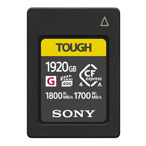 SONY(\j[) CEA-G1920T [1920GB]