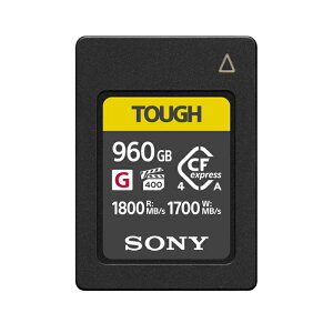 SONY(\j[) CEA-G960T [960GB]