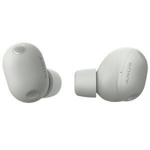 SONY(�\�j�[) WF-1000XM6 (S) �v���`�i�V���o�[