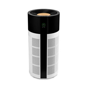 duux Tube DXPU03 �z���C�g