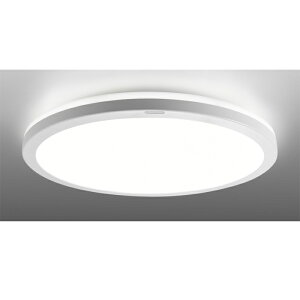 ����(TOSHIBA)(�g�E�V�o) [��������]NLEH08025C-LC (LED�V�[�����O���C�g)