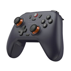 GameSir(�Q�[���T�[) GameSir Nova Lite [Space Purple][����5]