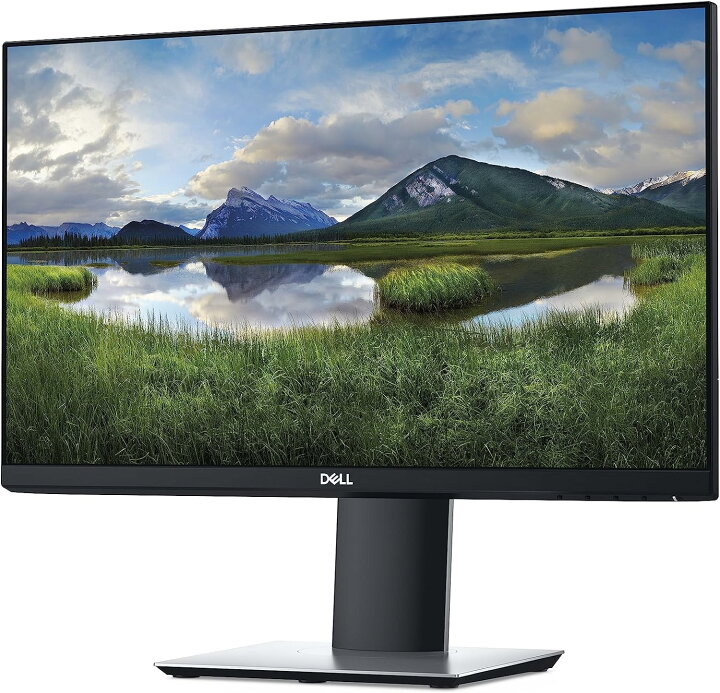 楽天市場】【2.5日限定最大10000P！】 大画面 超精細 DELL P2219H 22