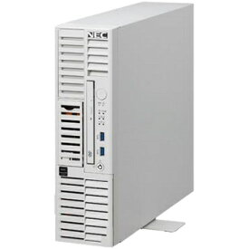 【送料無料】NEC NF8100-283Y iStorage NS100Tk (Pentium Gold G6405/ 8GB/ HDD・8TB/ Windows Server IoT 2022 for Storage Workgroup Edition/ タワー 3年保証)【在庫目安:僅少】| パソコン周辺機器