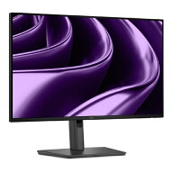 【在庫目安:あり】【送料無料】Dell Technologies P2426HE 液晶ディスプレイ 23.8型/ 1920×1080/ HDMI、…