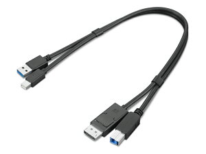 ���m�{�E�W���p�� 4X91D11453 ThinkStation Mini-DisplayPort/ USB Type-A3.0 - DisplayPort/ USB Type-B3.0 �ϊ��A�_�v�^�[�y�݌ɖڈ�:�����񂹁z