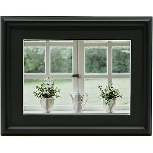 yz 506765 FUJICOLOR A~z YA-6  ubNy݌ɖڈ:񂹁z