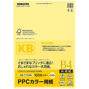 RN KB-C134NY PPCJ[p(p) FSCF B4 100 y݌ɖڈ:񂹁z