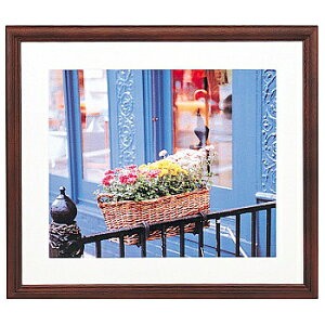  405129 FUJICOLOR ؐz YM-3 fW^A4 uEy݌ɖڈ:񂹁z