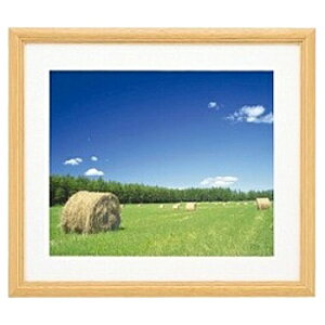  406089 FUJICOLOR ؐz YM-3 ؒnAN 6؁y݌ɖڈ:񂹁z