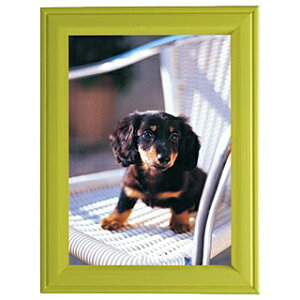  406195 FUJICOLOR ʐ^ MT-K2 O[y݌ɖڈ:񂹁z