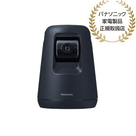 【送料無料】Panasonic KX-HDN215-K HDペットカメラ （ブラック）【在庫目安:お取り寄せ】