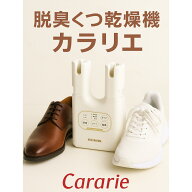 靴乾燥機 アイリスオーヤマ 脱臭 カラリエメーカー1年保証 脱臭 シュードライヤー 梅雨対策 タイマー付 2…