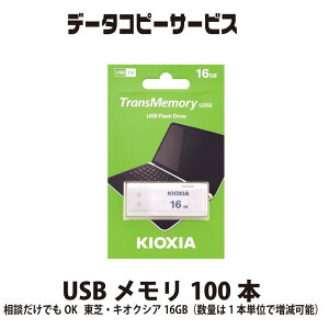 f[^Rs[T[rX USB 100{ kłOK ŁELINVA32GBiʂ1{Pʂő\j