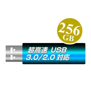USB������ �ꗬ���[�J�[ USB3.0�Ή��i�yUSB3.0������256GB�z1�N�ۏ�